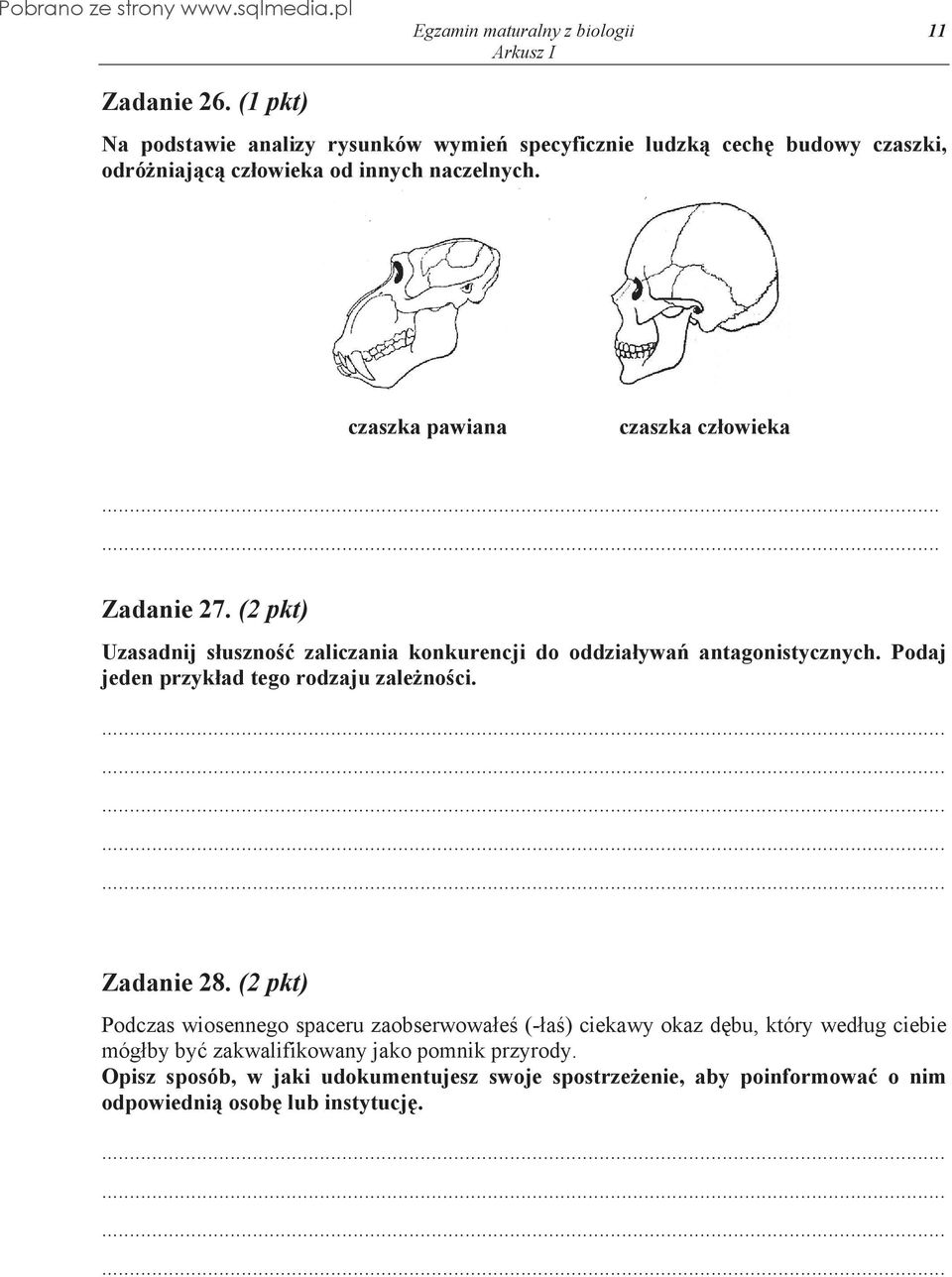 czaszka pawiana czaszka cz owieka.. Zadanie 27. (2 pkt) Uzasadnij s uszno zaliczania konkurencji do oddzia ywa antagonistycznych.