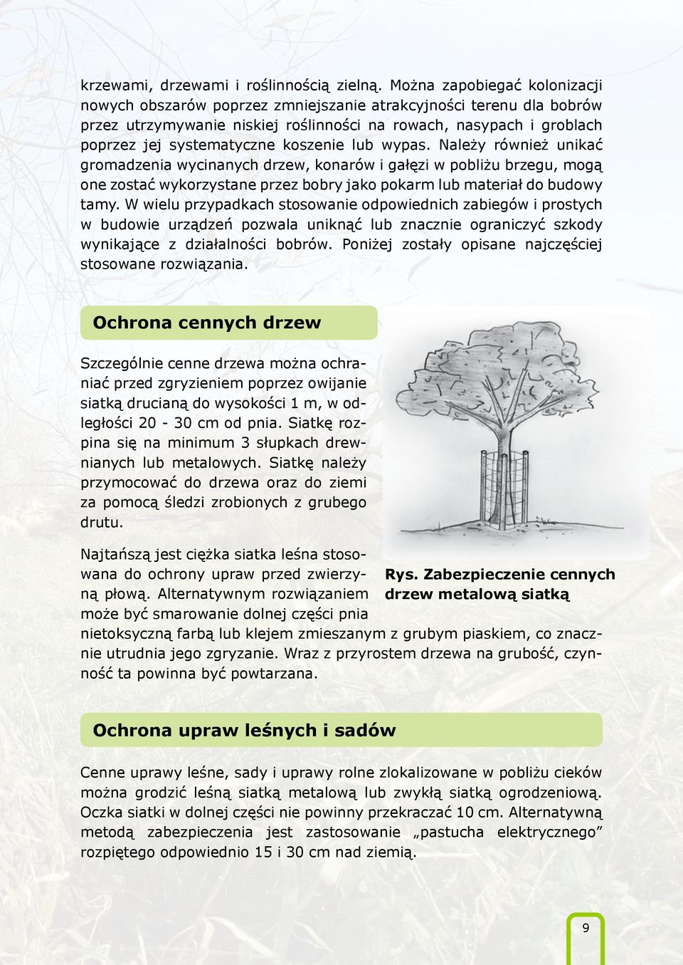 koszenie lub wypas. Należy również unikać gromadzenia wycinanych drzew, konarów i gałęzi w pobliżu brzegu, mogą one zostać wykorzystane przez bobry jako pokarm lub materiał do budowy tamy.