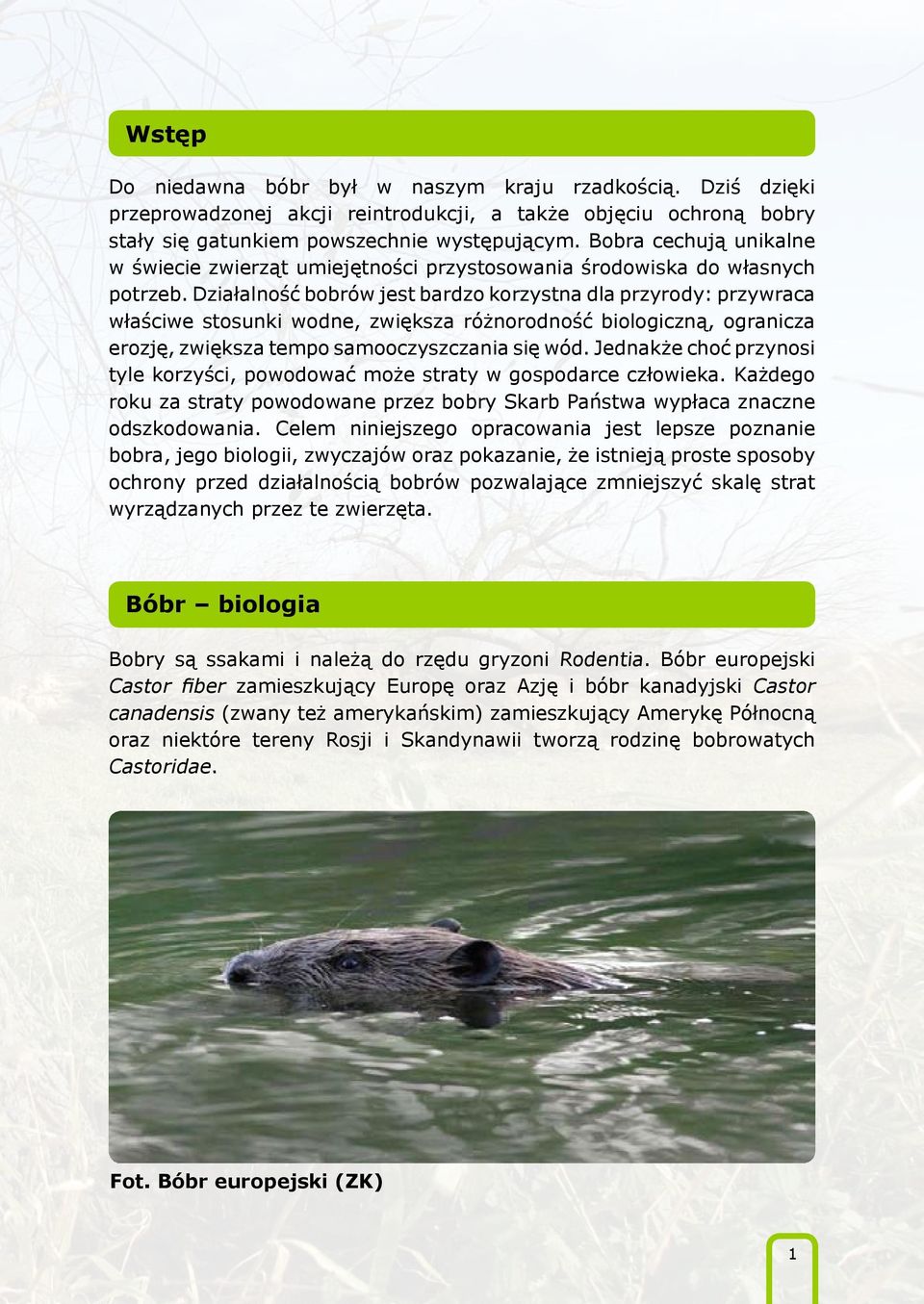 Działalność bobrów jest bardzo korzystna dla przyrody: przywraca właściwe stosunki wodne, zwiększa różnorodność biologiczną, ogranicza erozję, zwiększa tempo samooczyszczania się wód.