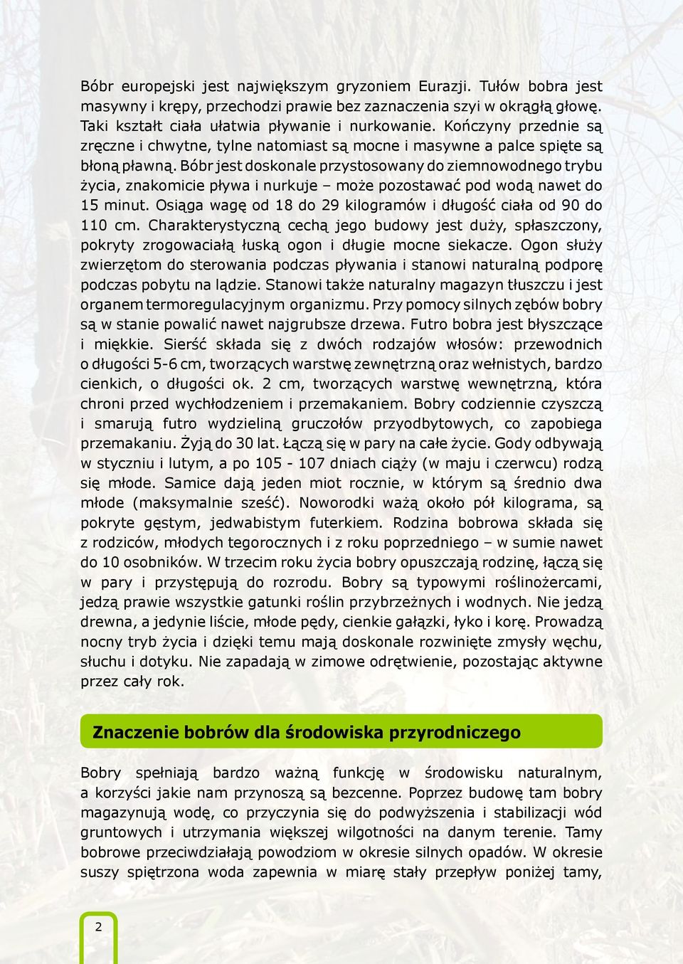 Bóbr jest doskonale przystosowany do ziemnowodnego trybu życia, znakomicie pływa i nurkuje może pozostawać pod wodą nawet do 15 minut.