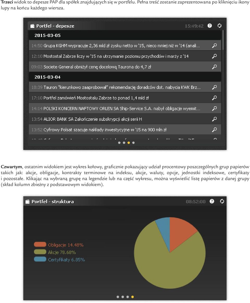 Czwartym, ostatnim widokiem jest wykres kołowy, graficznie pokazujący udział procentowy poszczególnych grup papierów takich jak: akcje,