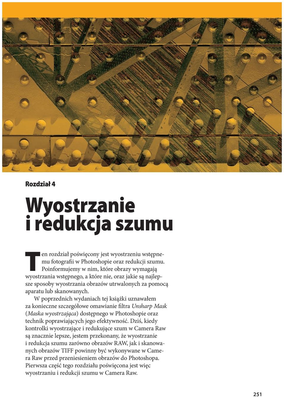 W poprzednich wydaniach tej książki uznawałem za konieczne szczegółowe omawianie filtra Unsharp Mask (Maska wyostrzająca) dostępnego w Photoshopie oraz technik poprawiających jego efektywność.