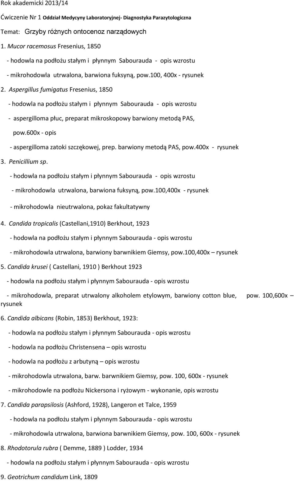 Aspergillus fumigatus Fresenius, 1850 - aspergilloma płuc, preparat mikroskopowy barwiony metodą PAS, pow.600x - opis - aspergilloma zatoki szczękowej, prep. barwiony metodą PAS, pow.400x - rysunek 3.