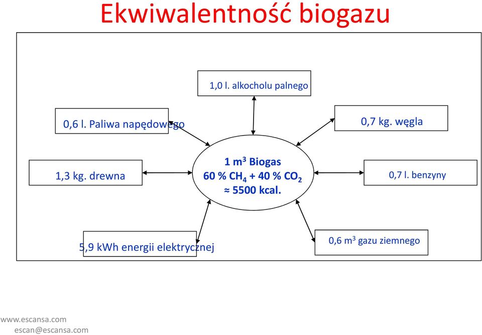 drewna 1 m 3 Biogas 60 % CH 4 + 40 % CO 2 5500 kcal. 0,7 l.