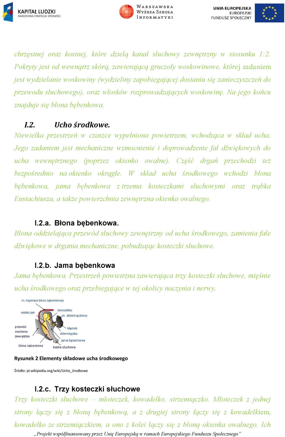 włosków rozprowadzających woskowinę. Na jego końcu znajduje się błona bębenkowa. I.2. Ucho środkowe. Niewielka przestrzeń w czaszce wypełniona powietrzem, wchodząca w skład ucha.