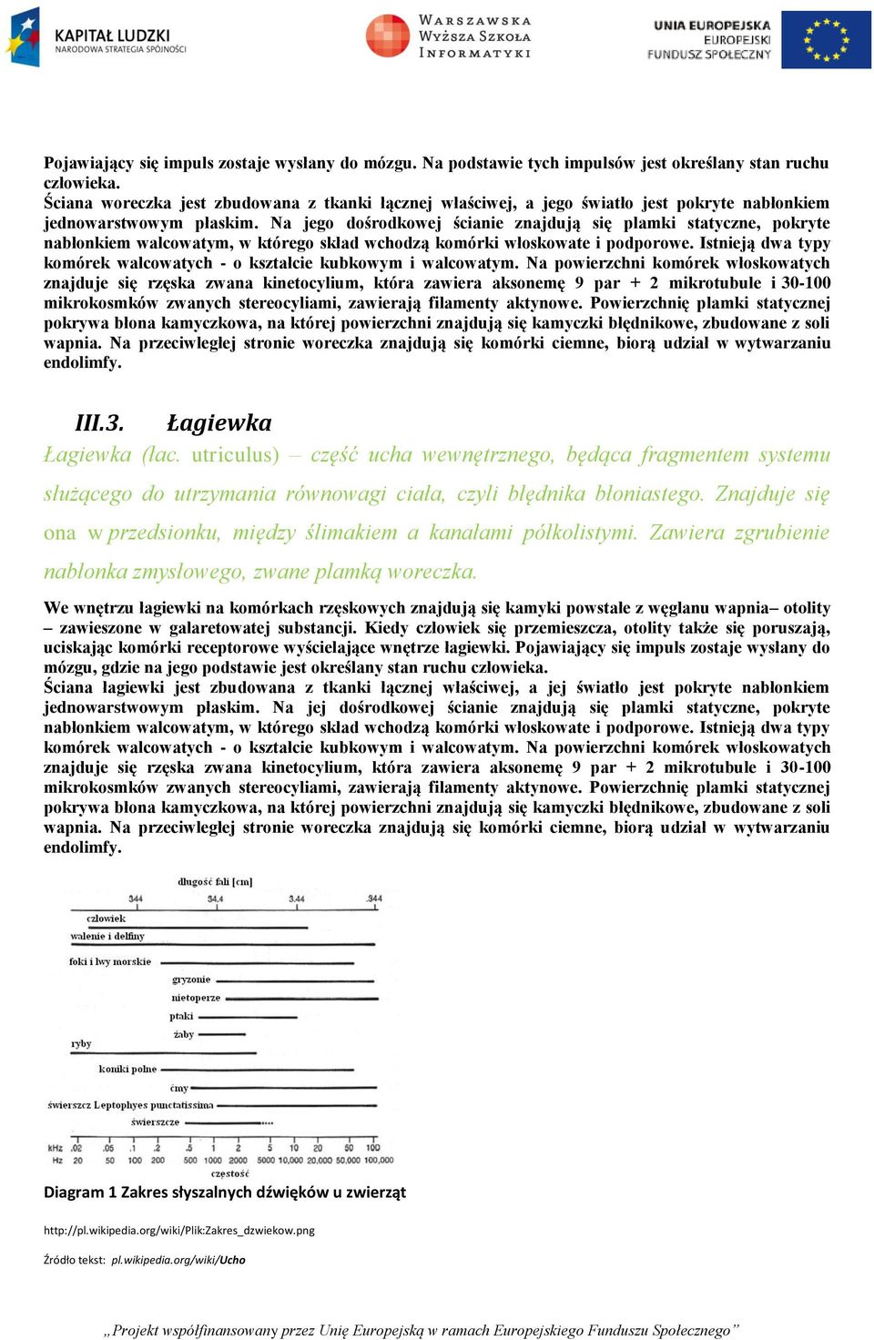 Na jego dośrodkowej ścianie znajdują się plamki statyczne, pokryte nabłonkiem walcowatym, w którego skład wchodzą komórki włoskowate i podporowe.