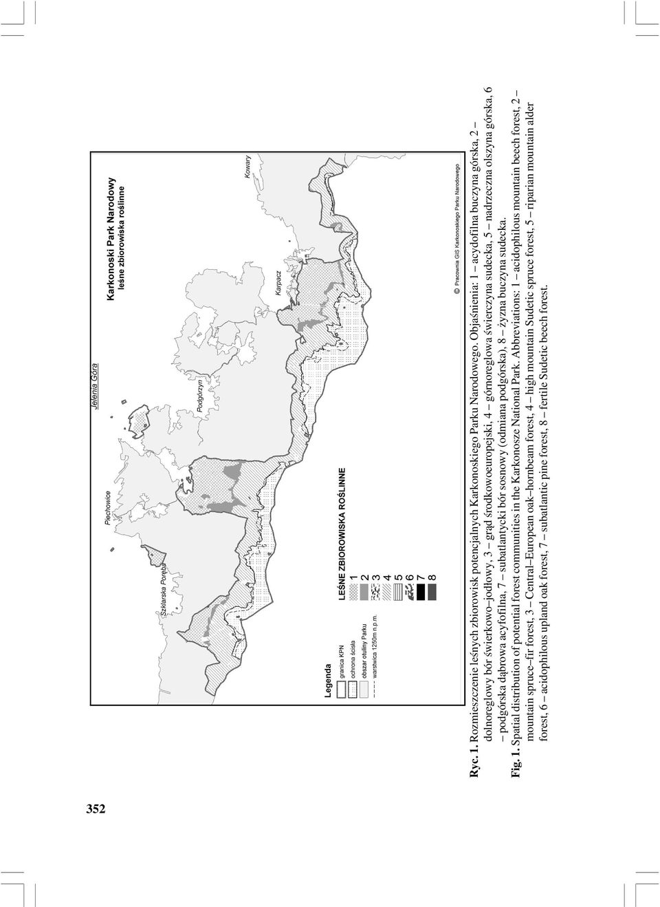 dąbrowa acyfofilna, 7 subatlantycki bór sosnowy (odmiana podgórska), 8 żyzna buczyna sudecka. Fig. 1. Spatial distribution of potential forest communities in the Karkonosze National Park.