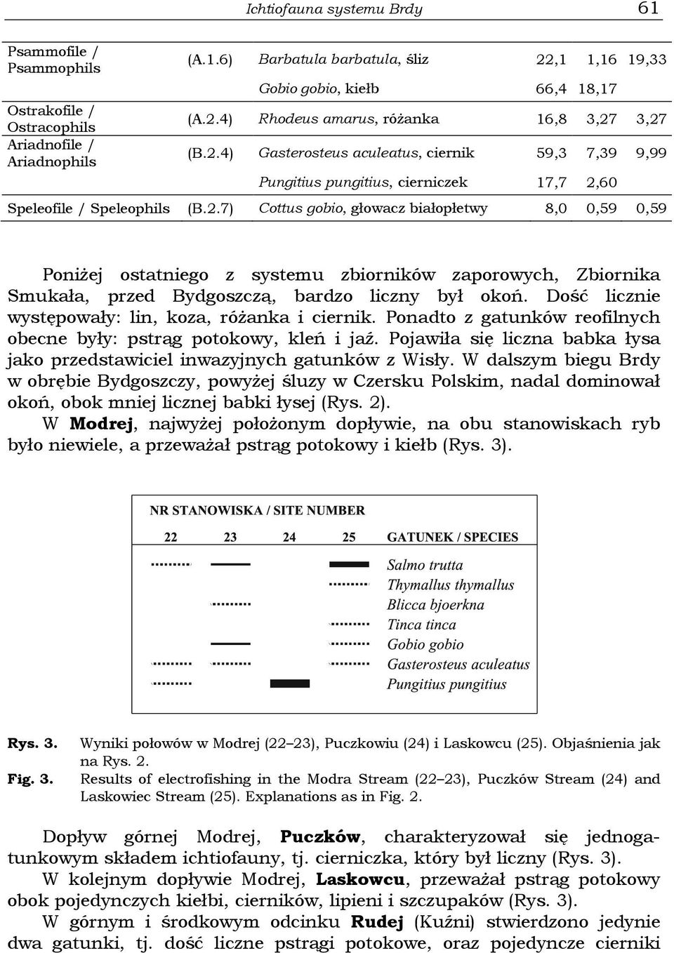 Dość licznie występowały: lin, koza, różanka i ciernik. Ponadto z gatunków reofilnych obecne były: pstrąg potokowy, kleń i jaź.