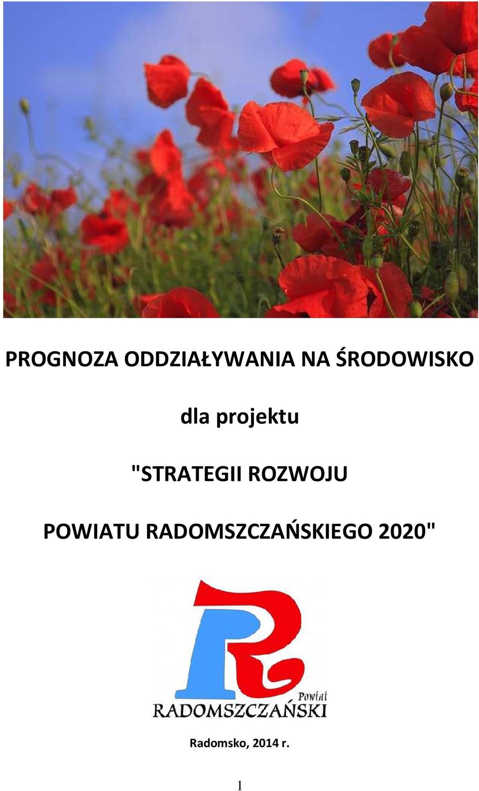 "STRATEGII ROZWOJU POWIATU