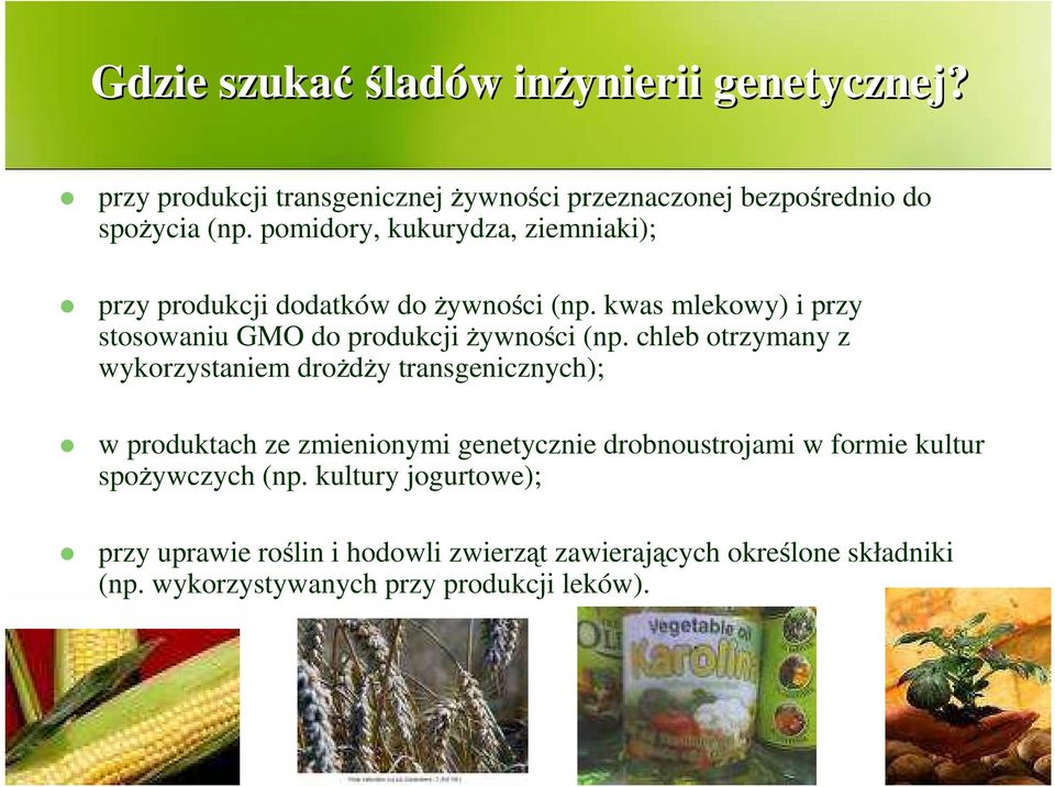 chleb otrzymany z wykorzystaniem droŝdŝy transgenicznych); w produktach ze zmienionymi genetycznie drobnoustrojami w formie kultur