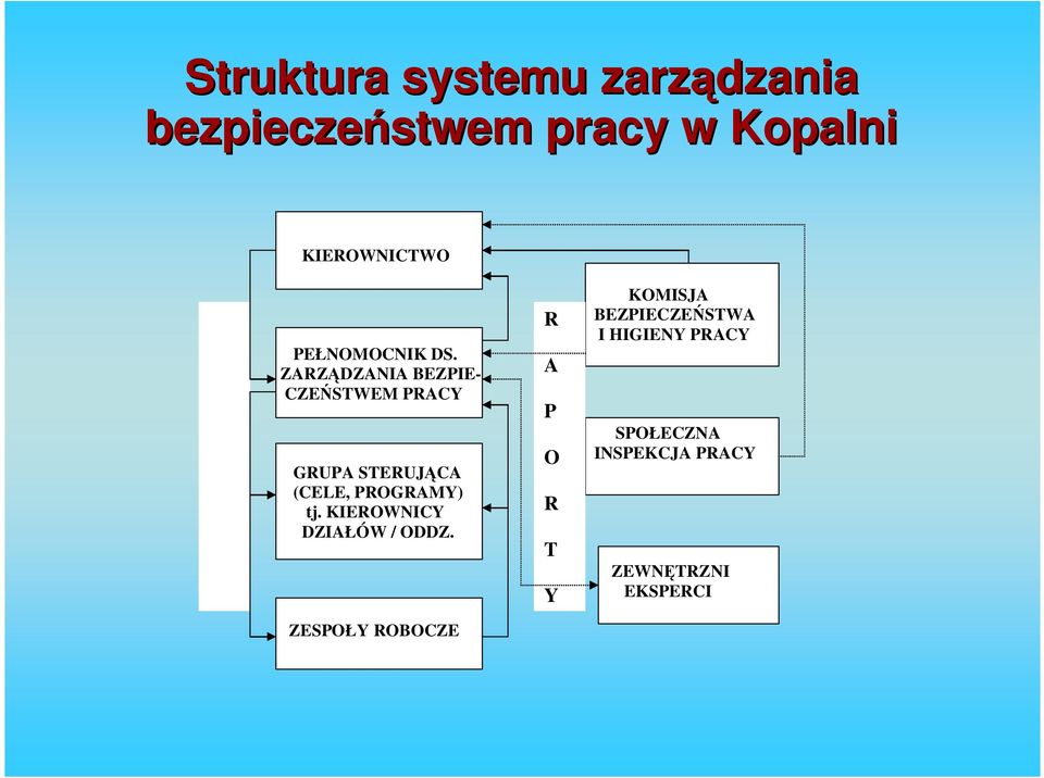 ZARZĄDZANIA BEZPIE- CZEŃSTWEM PRACY GRUPA STERUJĄCA (CELE, PROGRAMY) tj.