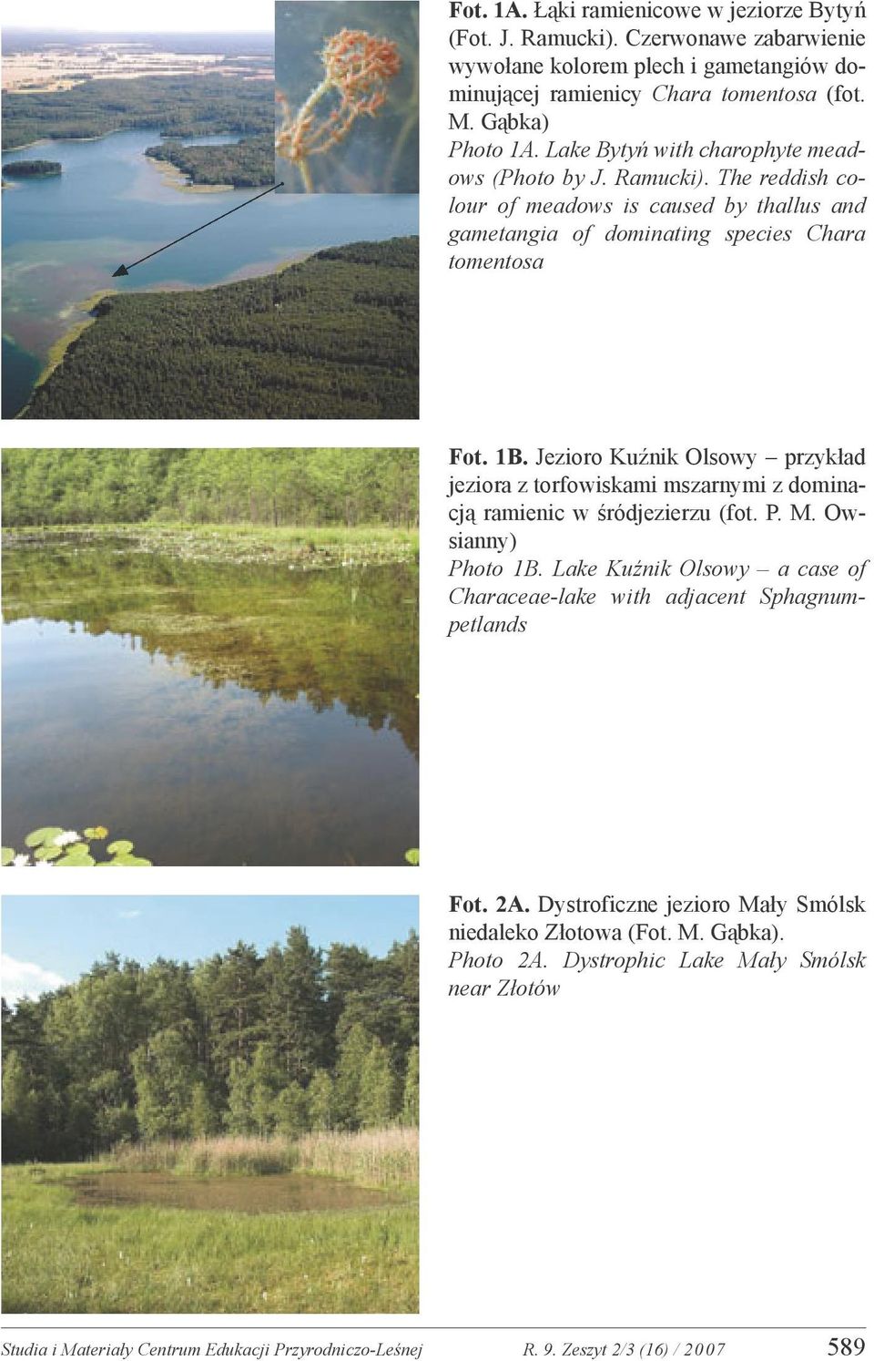 Jezioro Kuźnik Olsowy przykład jeziora z torfowiskami mszarnymi z dominacją ramienic w śródjezierzu (fot. P. M. Owsianny) Photo 1B.