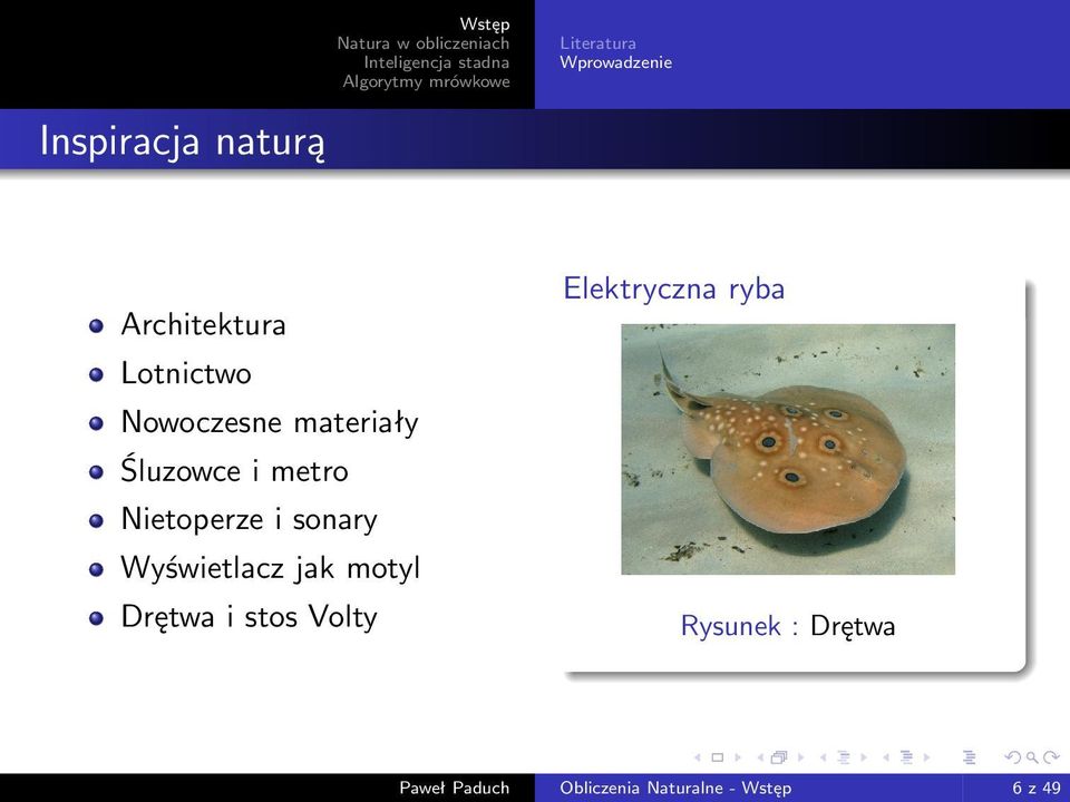 sonary Wyświetlacz jak motyl Drętwa i stos Volty Elektryczna