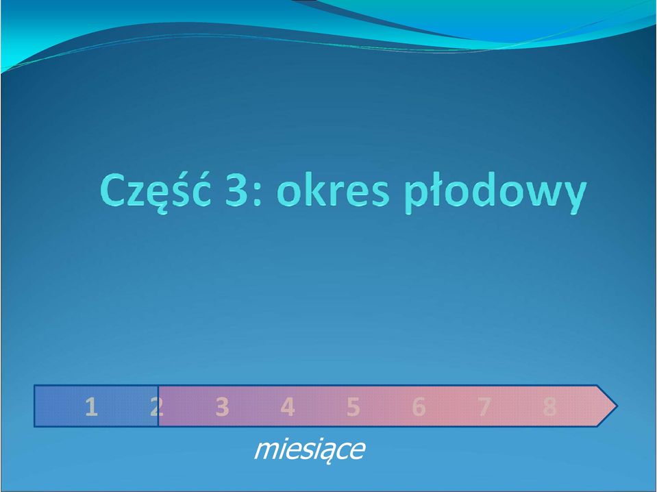 miesiące