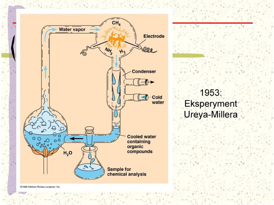 Eksperyment