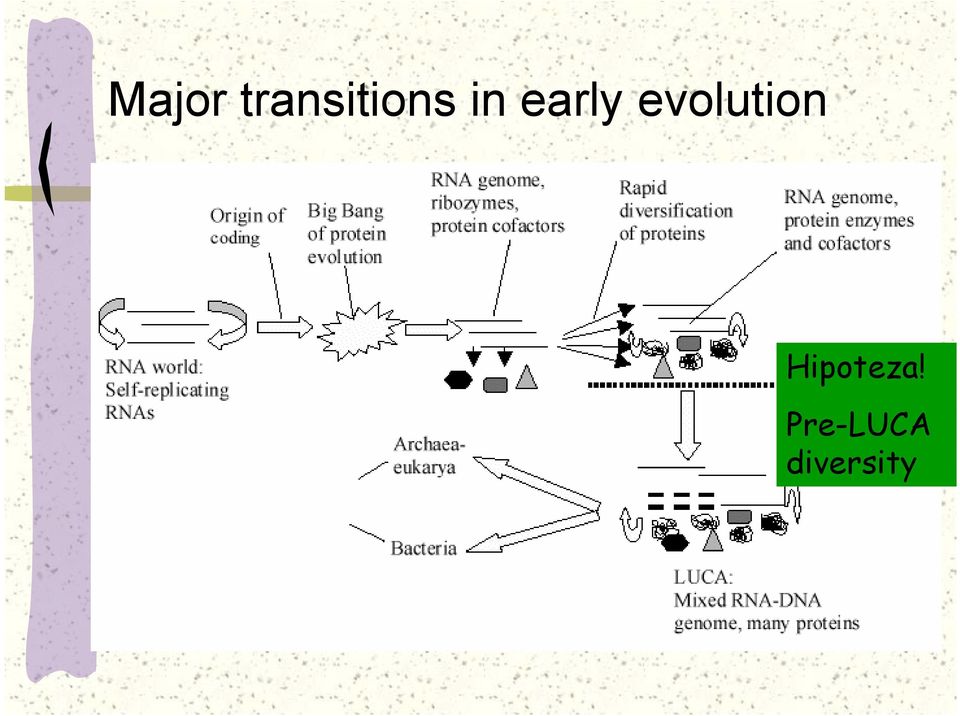 early evolution