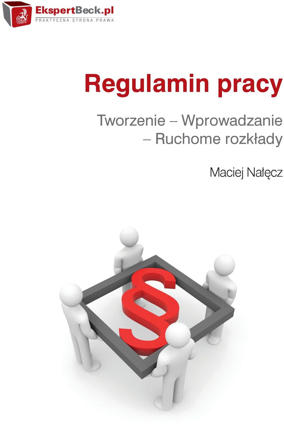 Wprowadzanie