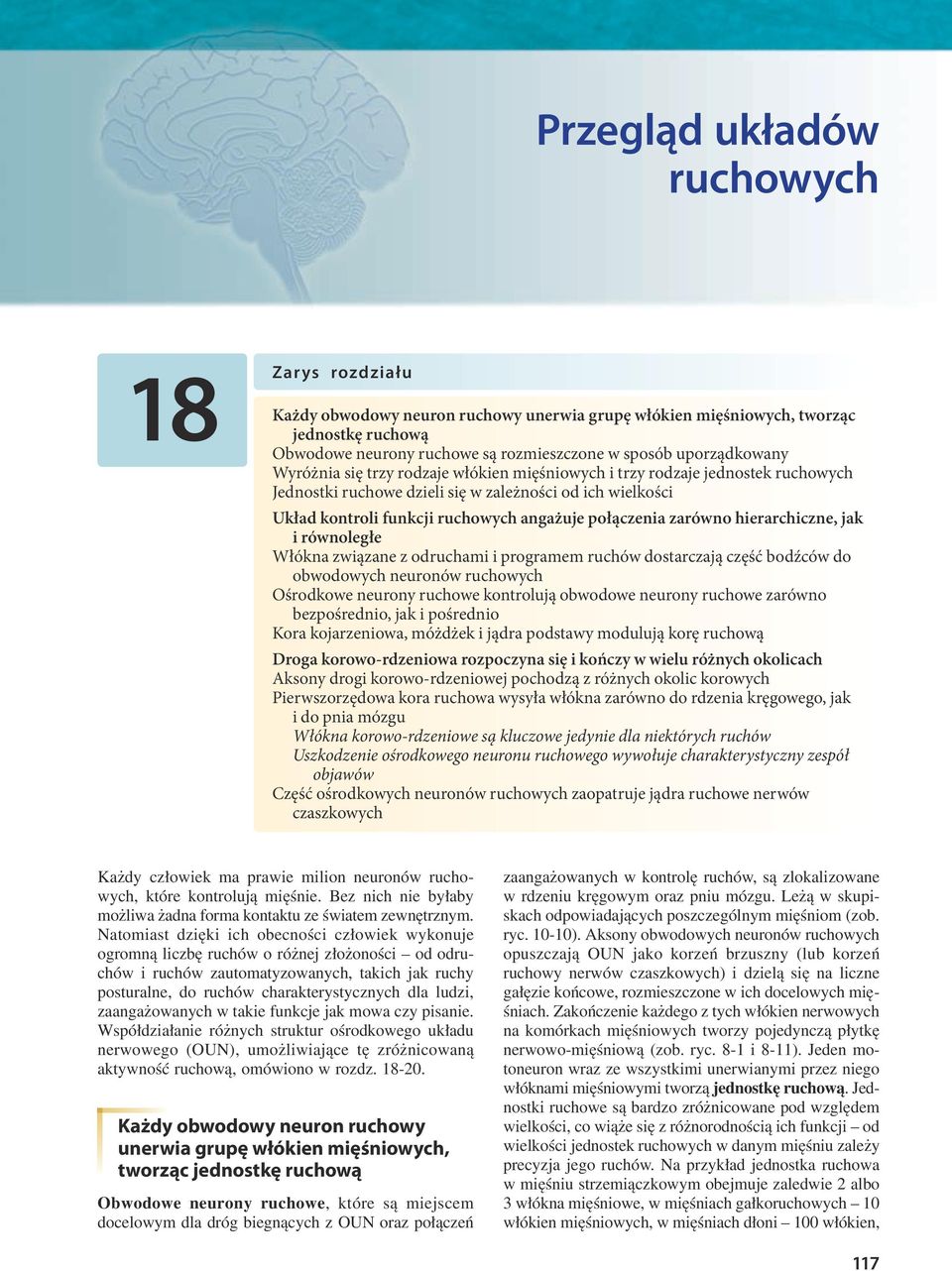 połączenia zarówno hierarchiczne, jak i równoległe Włókna związane z odruchami i programem ruchów dostarczają część bodźców do obwodowych neuronów ruchowych Ośrodkowe neurony ruchowe kontrolują