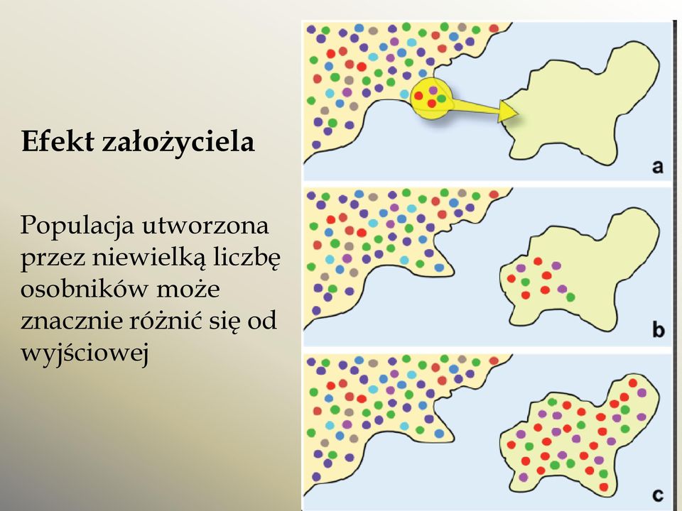 liczbę osobników może