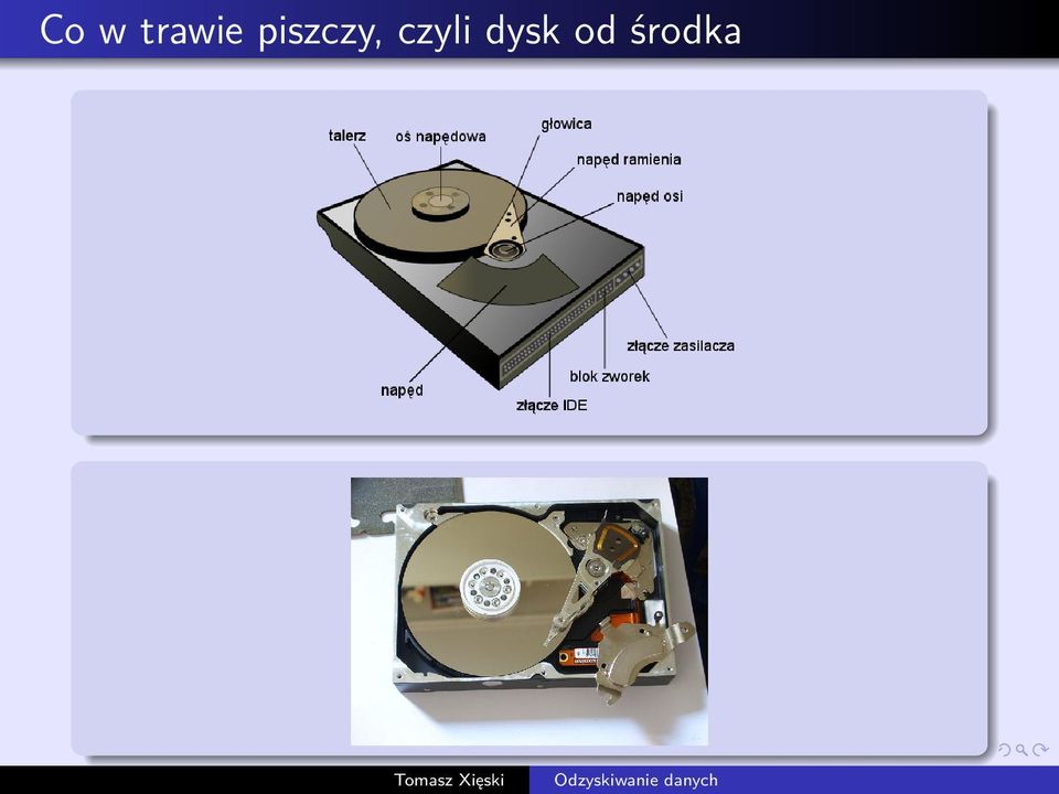 piszczy,
