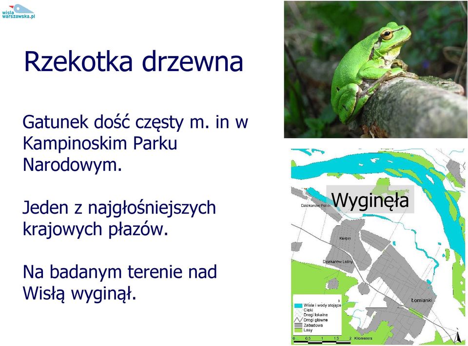 Jeden z najgłośniejszych krajowych