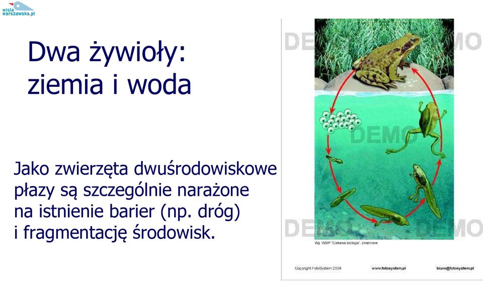 szczególnie narażone na istnienie