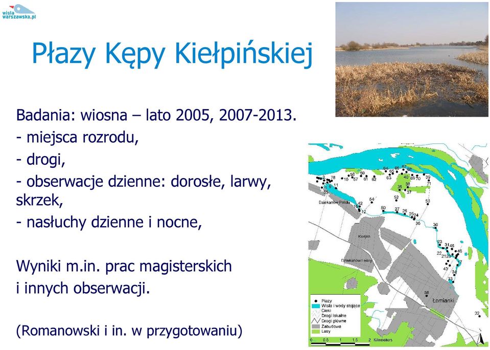 larwy, skrzek, - nasłuchy dzienne i nocne, Wyniki m.in.