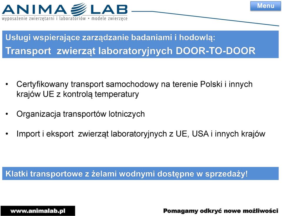 Organizacja transportów lotniczych Import i