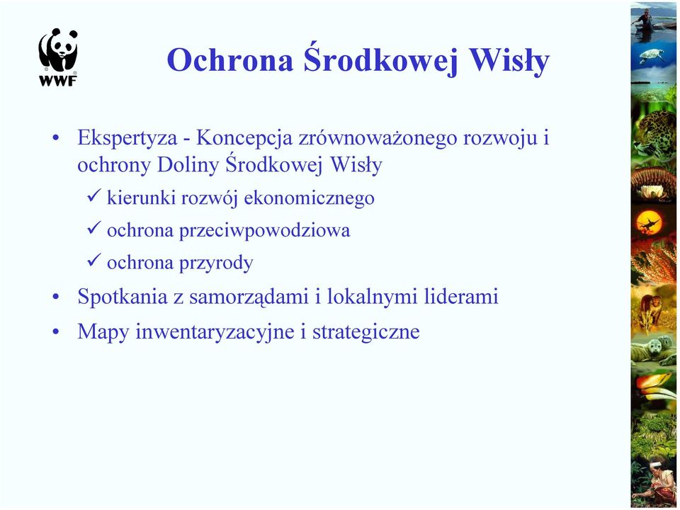 ekonomicznego ochrona przeciwpowodziowa ochrona przyrody