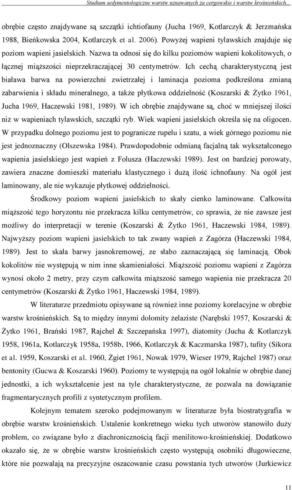Ich cechą charakterystyczną jest biaława barwa na powierzchni zwietrzałej i laminacja pozioma podkreślona zmianą zabarwienia i składu mineralnego, a także płytkowa oddzielność (Koszarski & Żytko