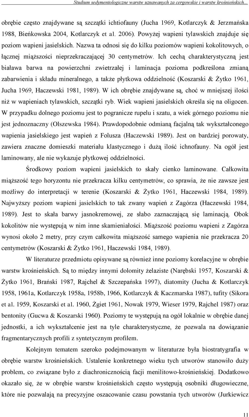 Ich cechą charakterystyczną jest biaława barwa na powierzchni zwietrzałej i laminacja pozioma podkreślona zmianą zabarwienia i składu mineralnego, a także płytkowa oddzielność (Koszarski & Żytko