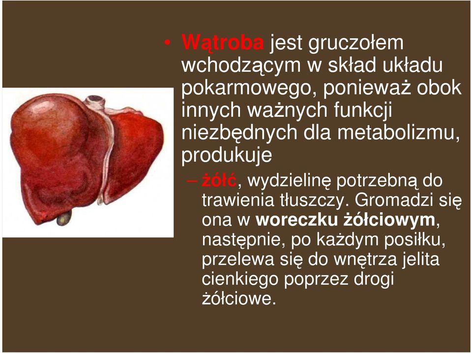 potrzebną do trawienia tłuszczy.