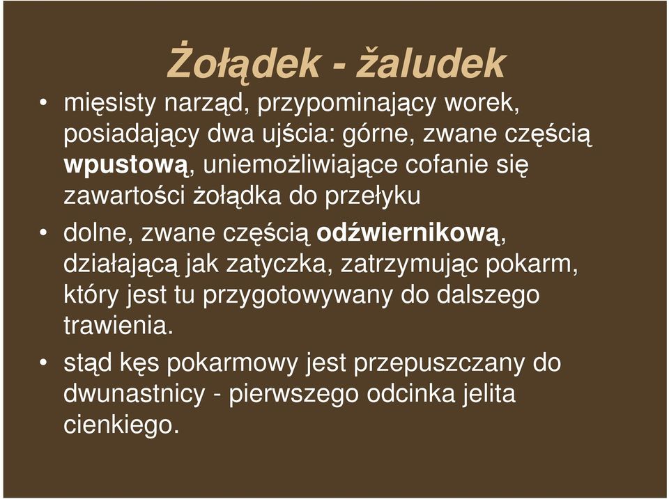 odźwiernikową, działającą jak zatyczka, zatrzymując pokarm, który jest tu przygotowywany do