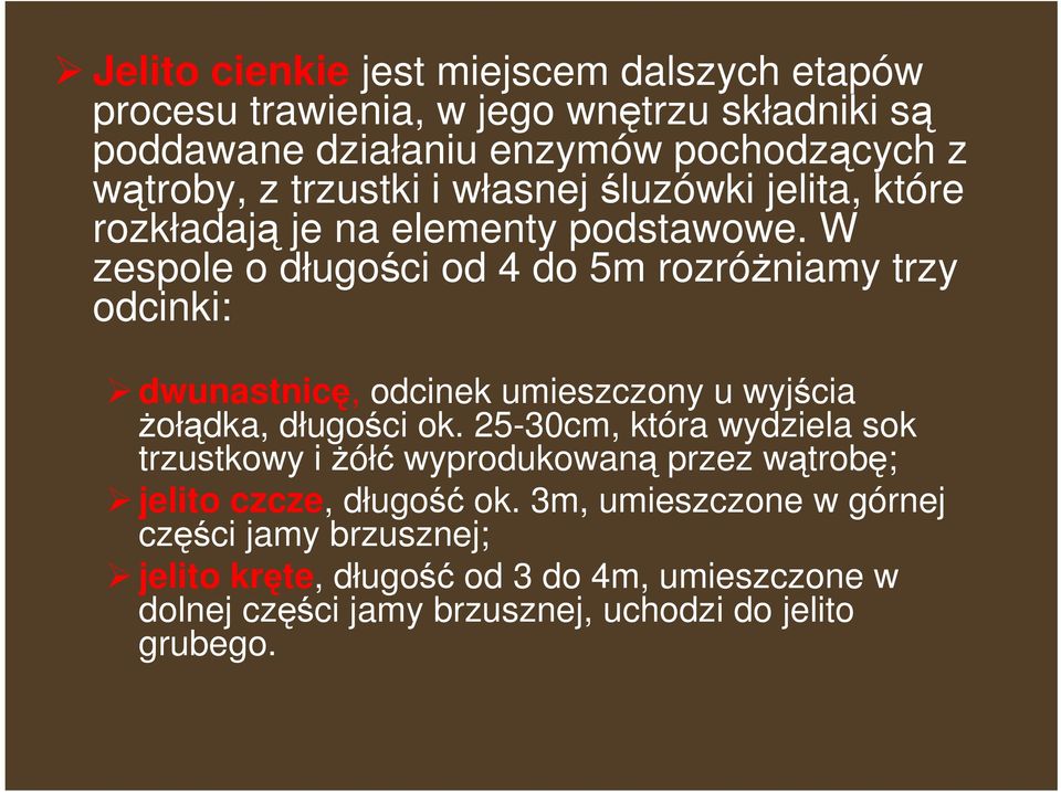 W zespole o długości od 4 do 5m rozróŝniamy trzy odcinki: dwunastnicę, odcinek umieszczony u wyjścia Ŝołądka, długości ok.