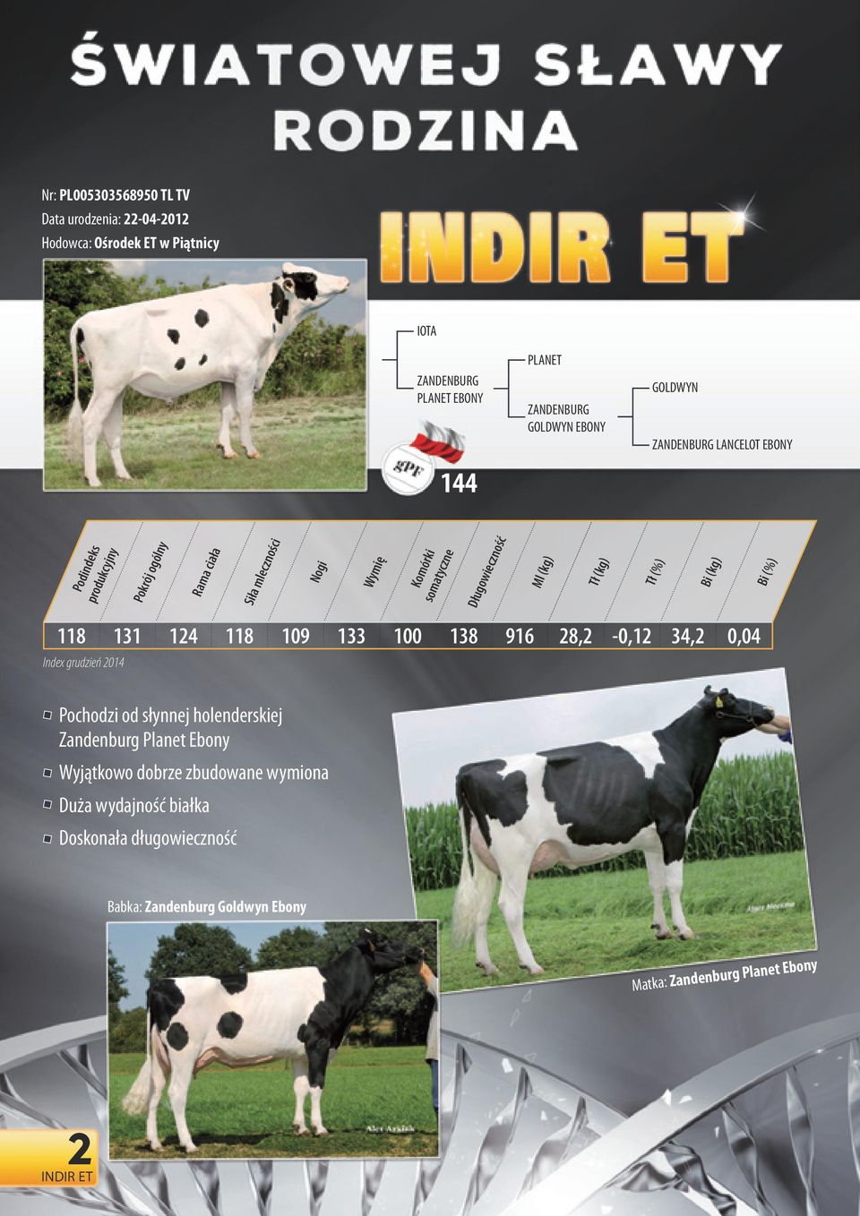 prod ndeks 144 28,2-0,12 34,2 0,04 Index rudzeń 2014 Pohodz od słynnej holenderskej Zandenbur Planet Ebony Wyjątkowo