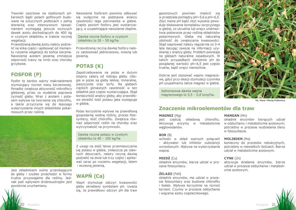 Nawożenie azotem jesienią zmniejsza odporność trawy na mróz oraz choroby grzybowe. FOSFOR (P) Fosfor to bardzo ważny makroelement stymulujący rozrost masy korzeniowej.