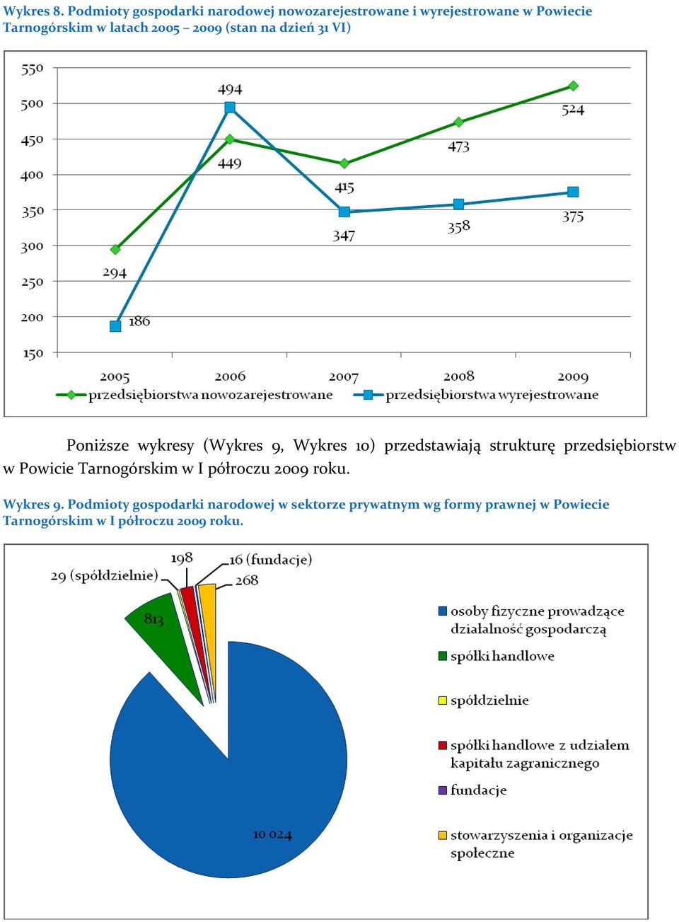 latach 2005 2009 (stan na dzień 31 VI) Poniższe wykresy (Wykres 9, Wykres 10) przedstawiają