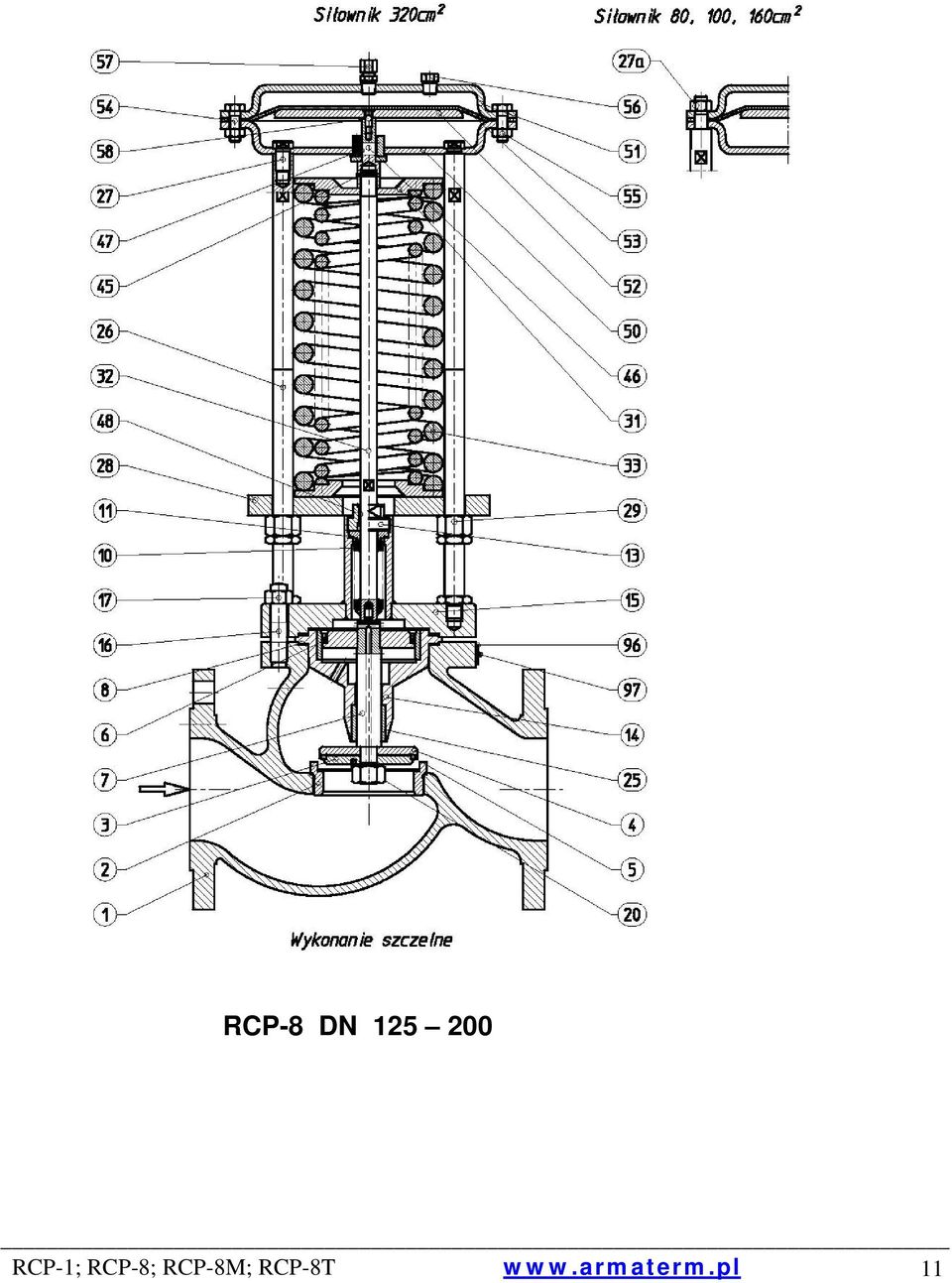 RCP-1;