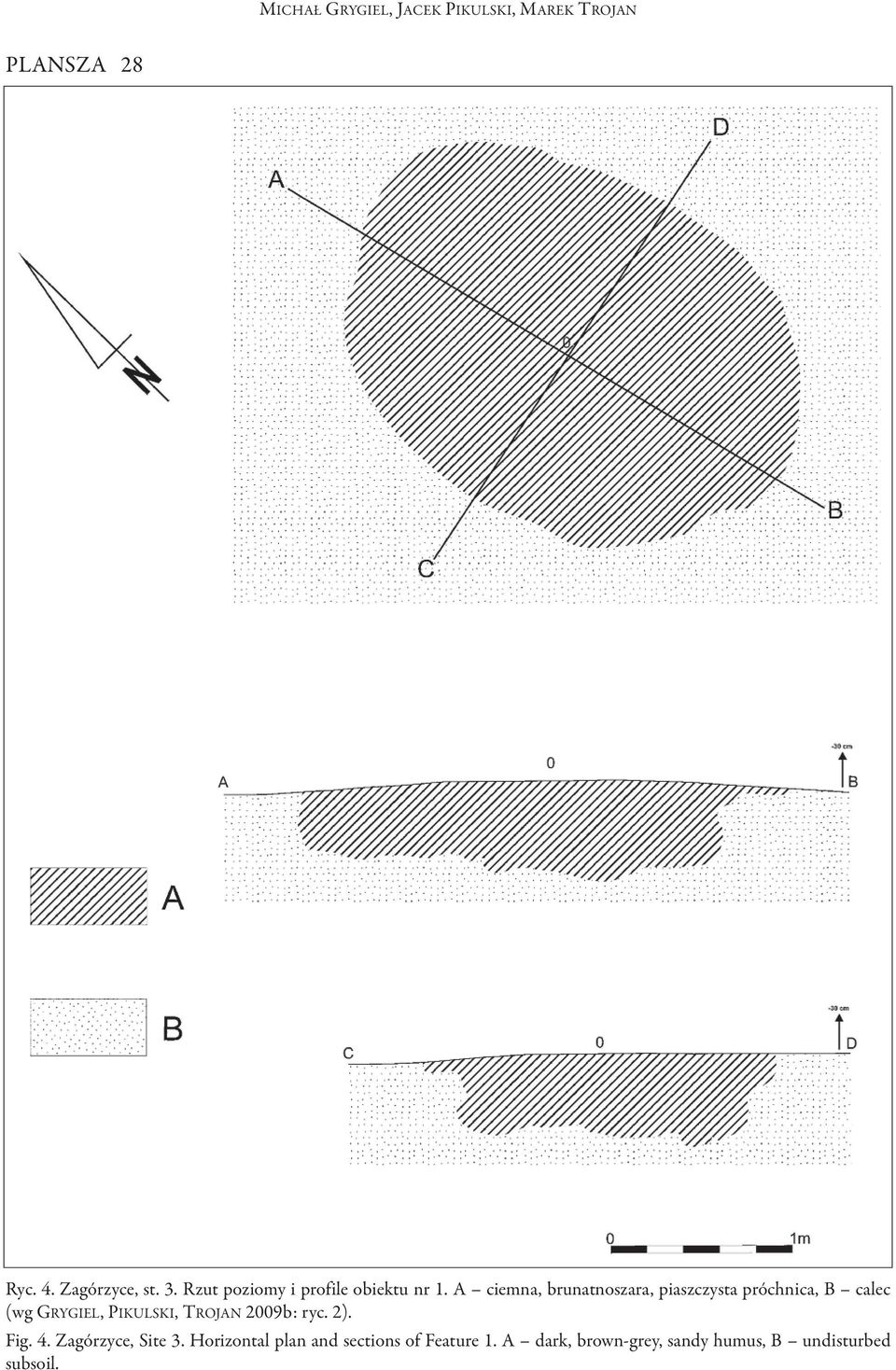 PIKULSKI, TRoJAN 2009b: ryc. 2). Fig. 4. Zagórzyce, Site 3.