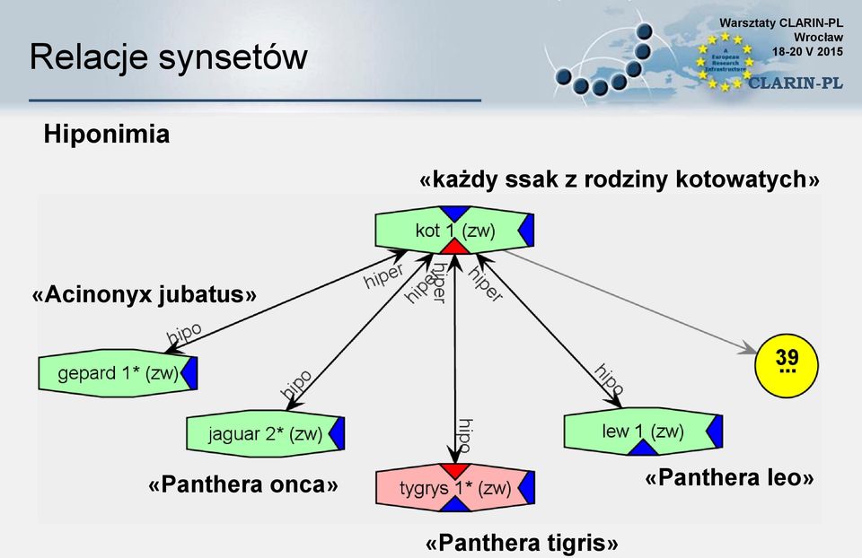 kotowatych» «Acinonyx jubatus»