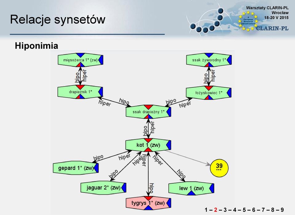 Hiponimia