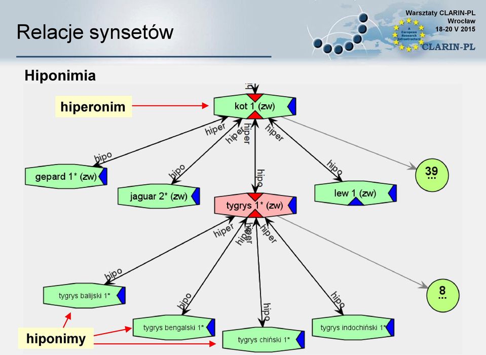 Hiponimia