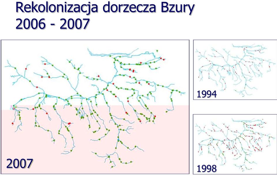 Bzury