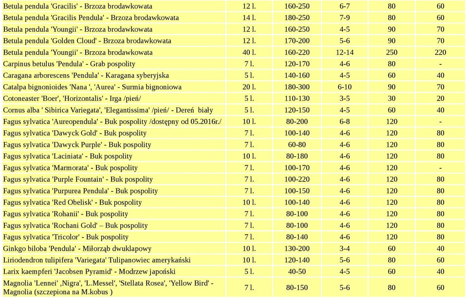 170-200 5-6 90 70 Betula pendula 'Youngii' - Brzoza brodawkowata 40 l. 160-220 12-14 250 220 Carpinus betulus 'Pendula' - Grab pospolity 7 l.