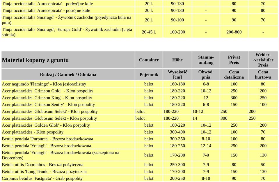 100-200 - 200-800 - Materiał kopany z gruntu Container Höhe Acer negumdo 'Flamingo' - Klon jesionolistny balot 160-180 6-8 100 80 Acer platanoides 'Crimson Gold ' - Klon pospolity balot 180-220 10-12