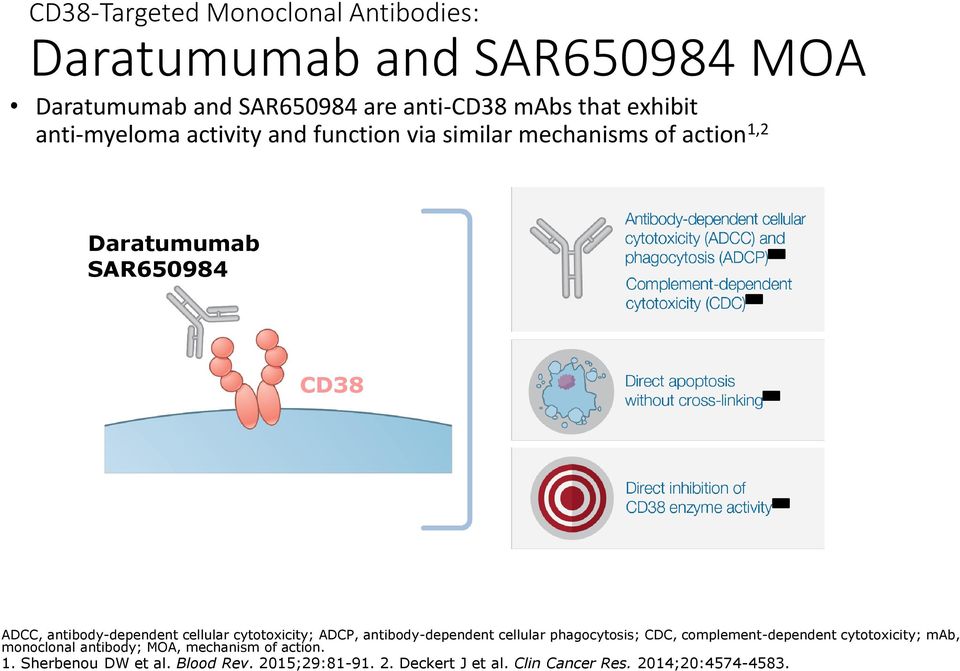 cellular cytotoxicity; ADCP, antibody-dependent cellular phagocytosis; CDC, complement-dependent cytotoxicity; mab, monoclonal