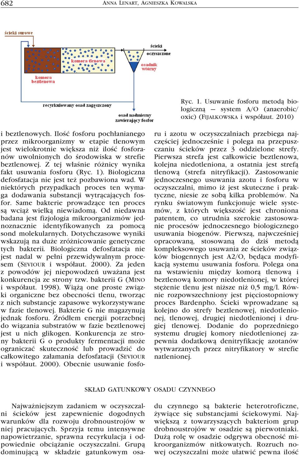 Z tej właśnie różnicy wynika fakt usuwania fosforu (Ryc. 1). Biologiczna defosfatacja nie jest też pozbawiona wad. W niektórych przypadkach proces ten wymaga dodawania substancji wytrącających fosfor.