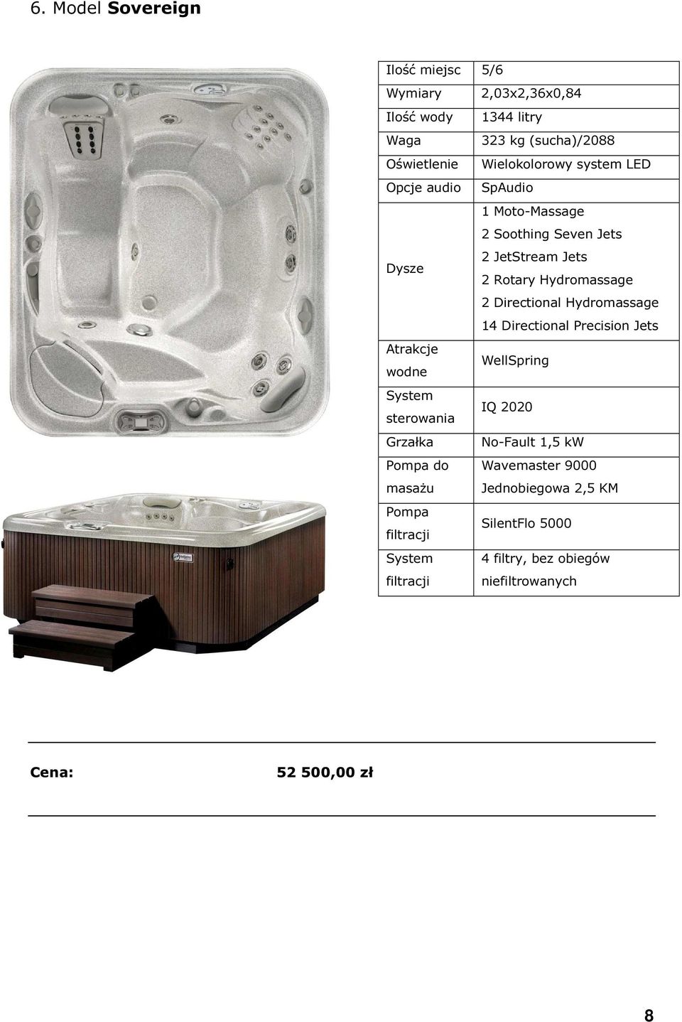 Jets 2 JetStream Jets 2 Rotary Hydromassage 2 Directional Hydromassage 14 Directional Precision Jets WellSpring IQ 2020