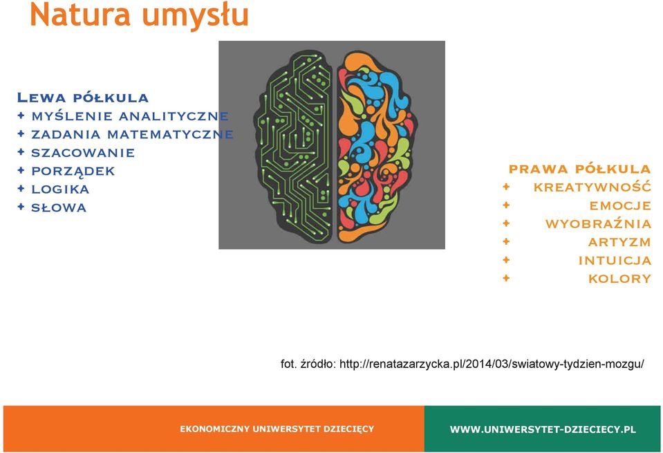 kreatywność emocje wyobraźnia artyzm intuicja kolory fot.