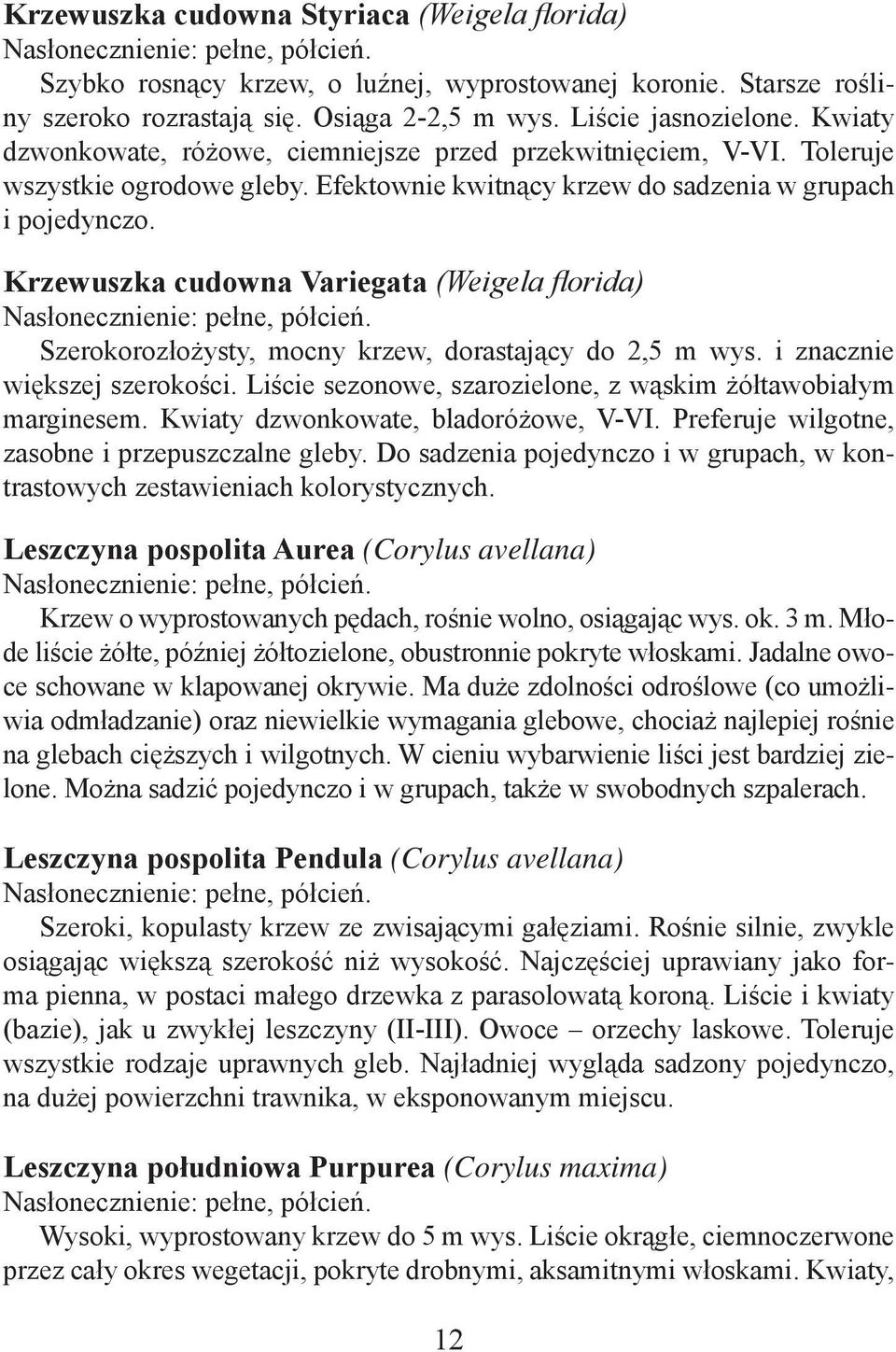 Krzewuszka cudowna Variegata (Weigela florida) Szerokorozłożysty, mocny krzew, dorastający do 2,5 m wys. i znacznie większej szerokości.